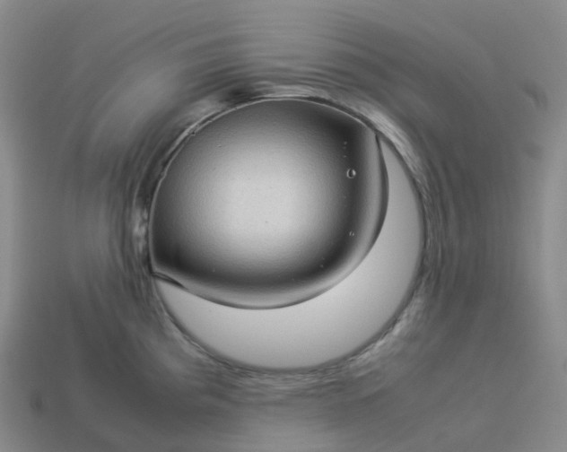 X0000114091193200910191556