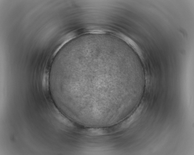 X0000114091194200910191556