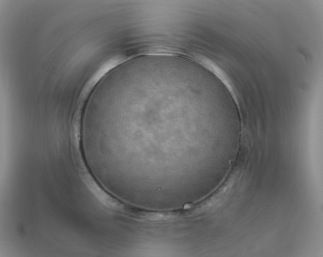 X0000114091195200910191556