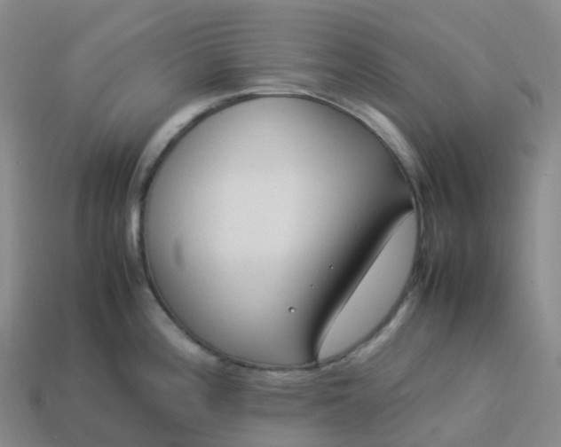 X0000114091196200910191556