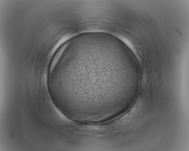 X0000114091197200910191556