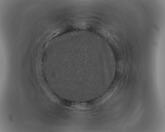 X0000114091201200910191556