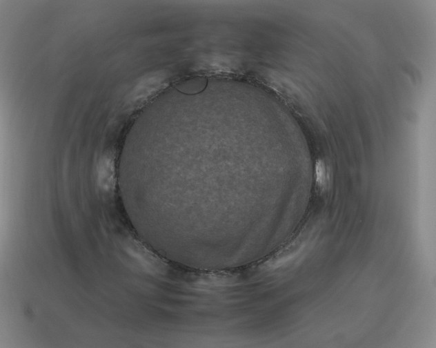 X0000114091203200910191556