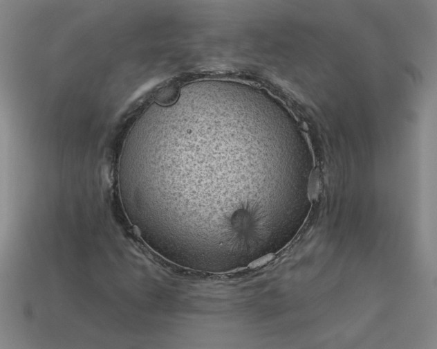 X0000114091206200910191556