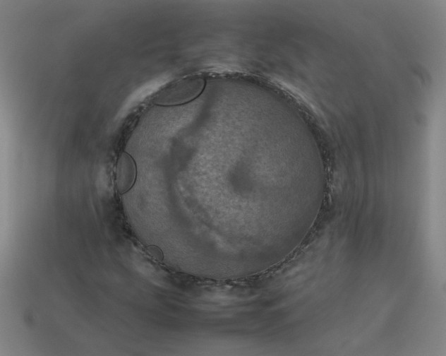 X0000114091207200910191556