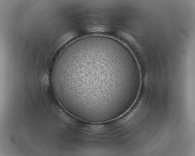 X0000114091209200910191556