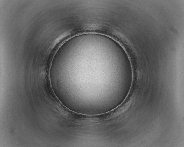 X0000114091210200910191556