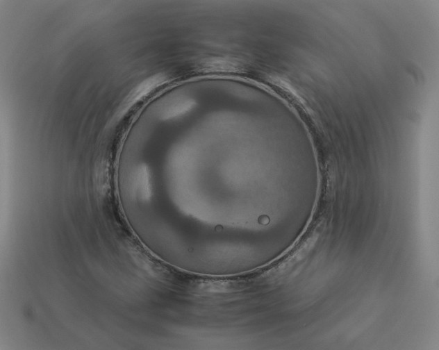 X0000114091211200910191556