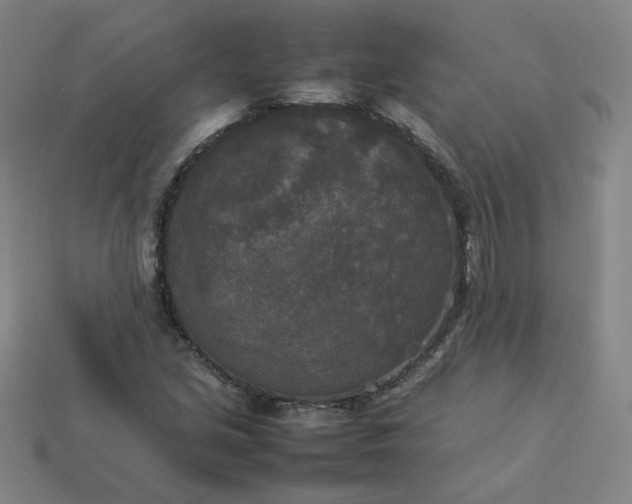 X0000114091213200910191556