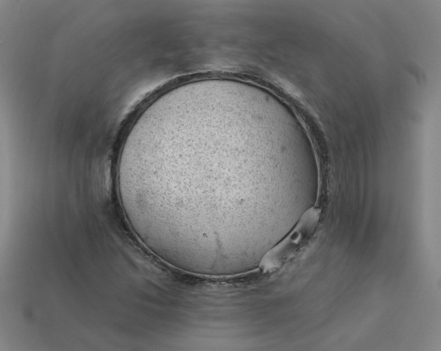 X0000114091214200910191556
