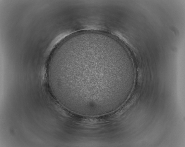 X0000114091215200910191556