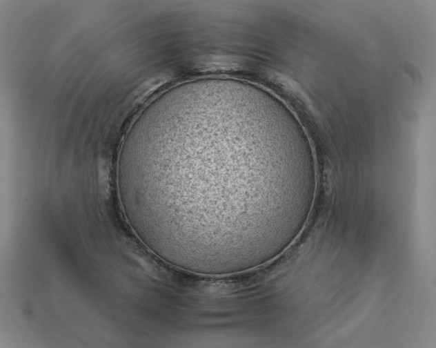 X0000114091217200910191556