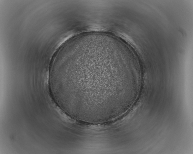 X0000114091220200910191556