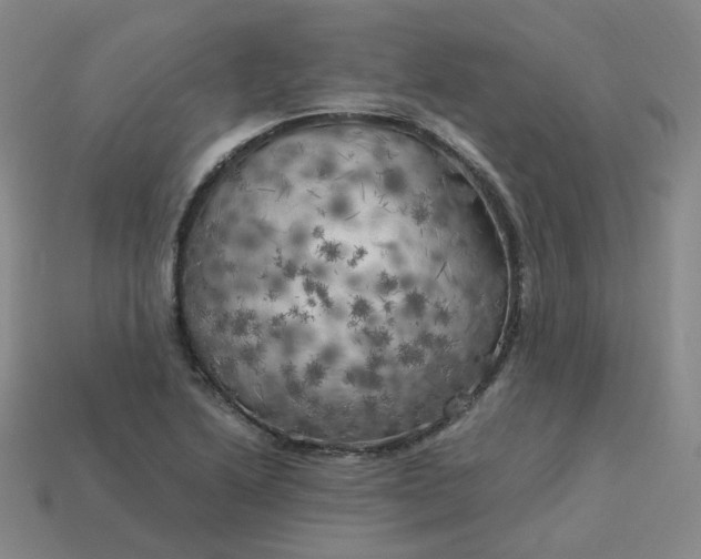 X0000114091222200910191556