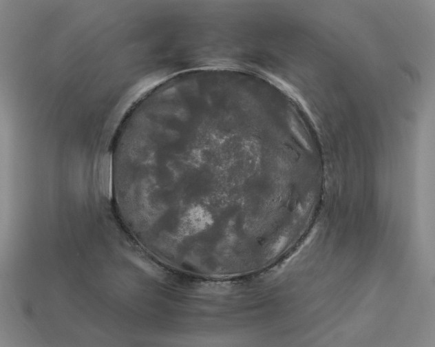X0000114091223200910191556