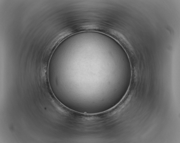 X0000114091225200910191556