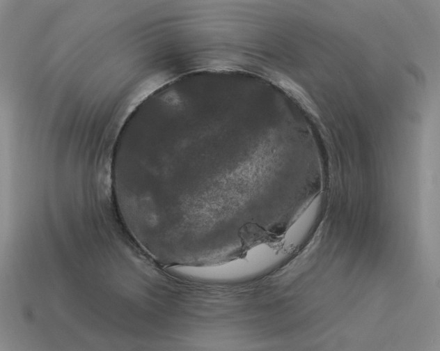 X0000114091226200910191556