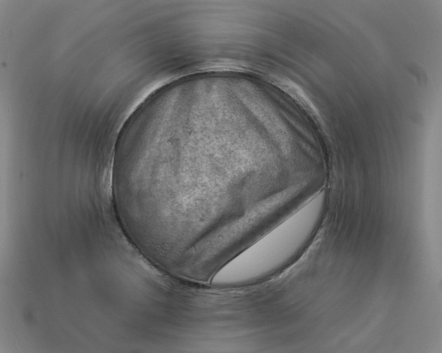 X0000114091228200910191556