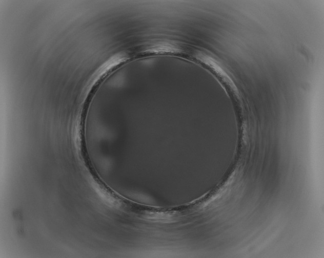X0000114091229200910191556