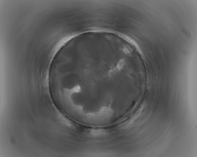 X0000114091231200910191556