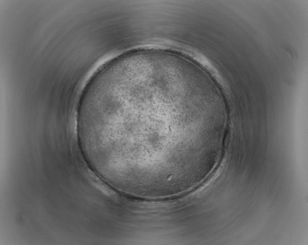 X0000114091232200910191556