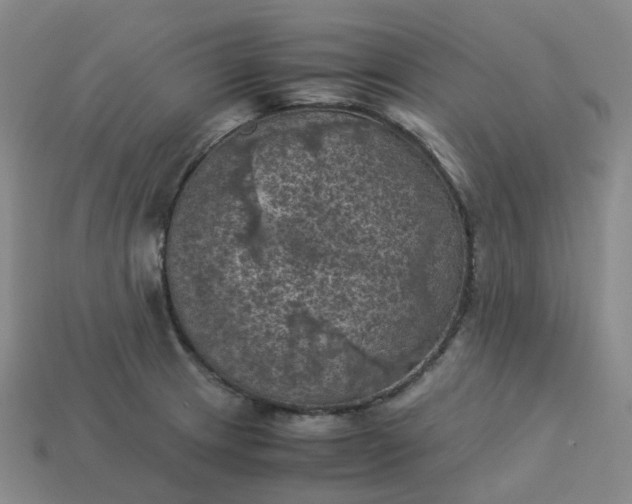 X0000114091233200910191556