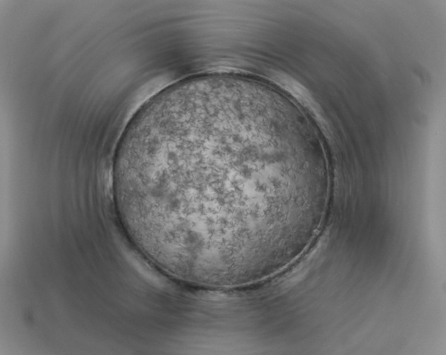 X0000114091234200910191556
