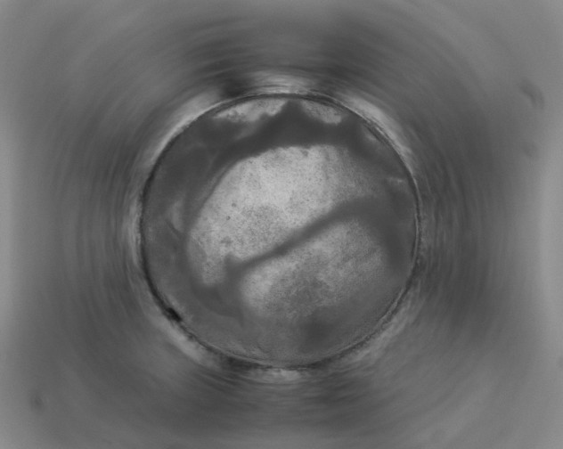 X0000114091235200910191556
