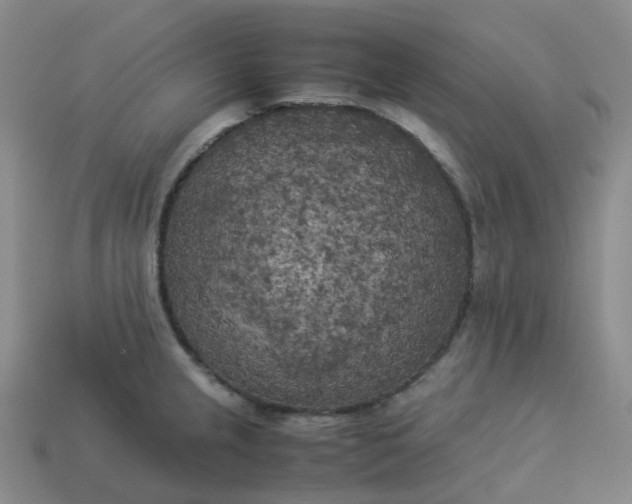 X0000114091237200910191556