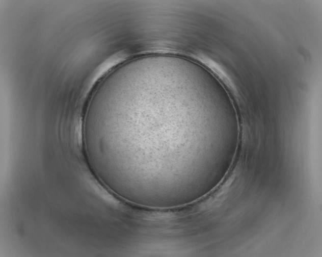 X0000114091238200910191556