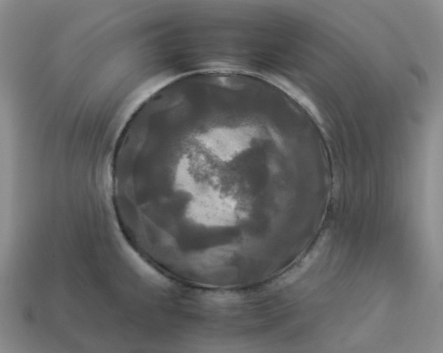 X0000114091239200910191556
