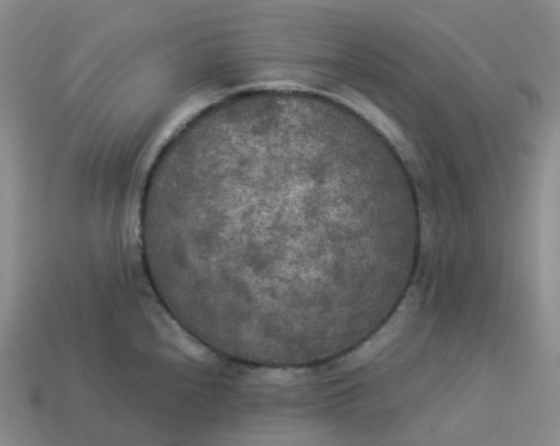 X0000114091240200910191556