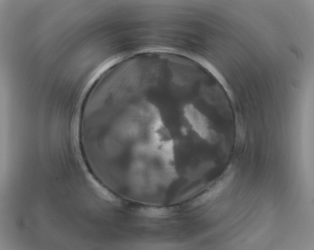 X0000114091245200910191556