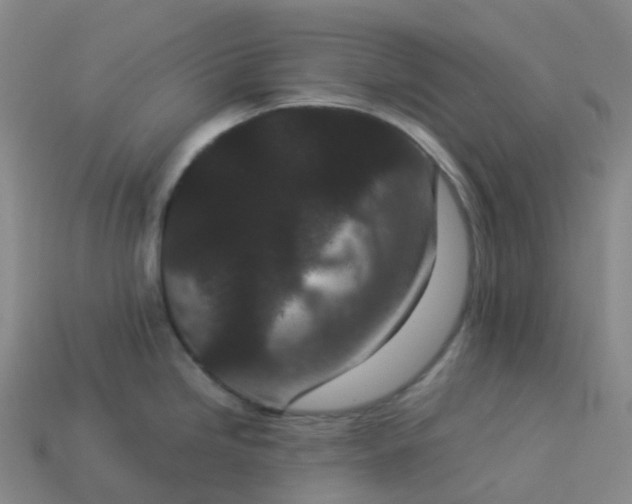 X0000114091246200910191556