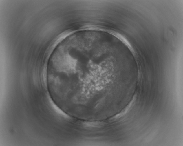 X0000114091247200910191556