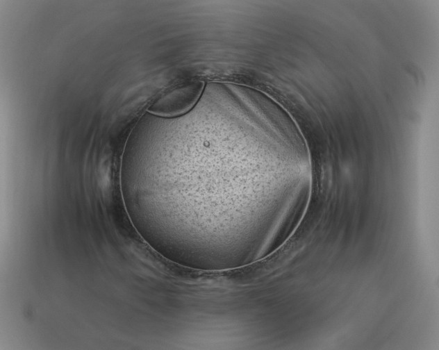 X0000114091250200910191556