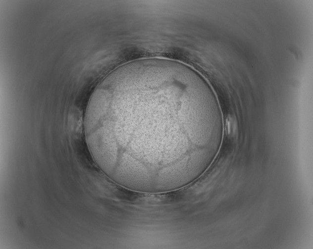 X0000114091251200910191556