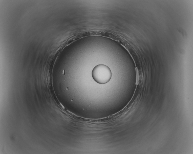 X0000114091252200910191556