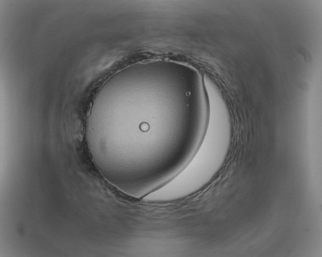 X0000114091253200910191556