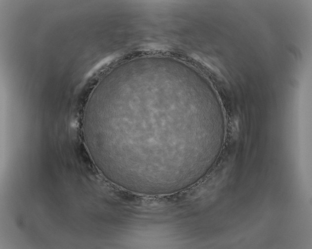X0000114091254200910191556