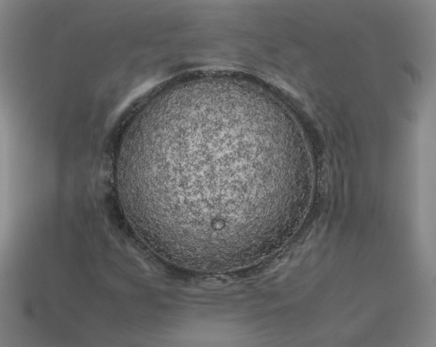 X0000114091255200910191556