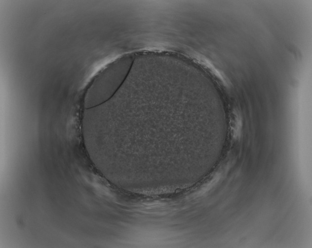 X0000114091256200910191556