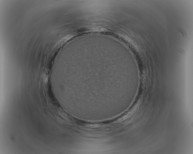X0000114091257200910191556
