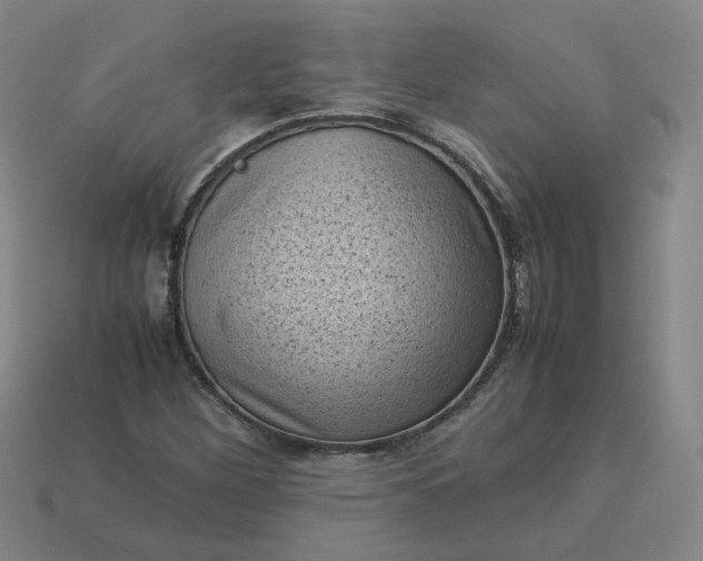 X0000114091260200910191556