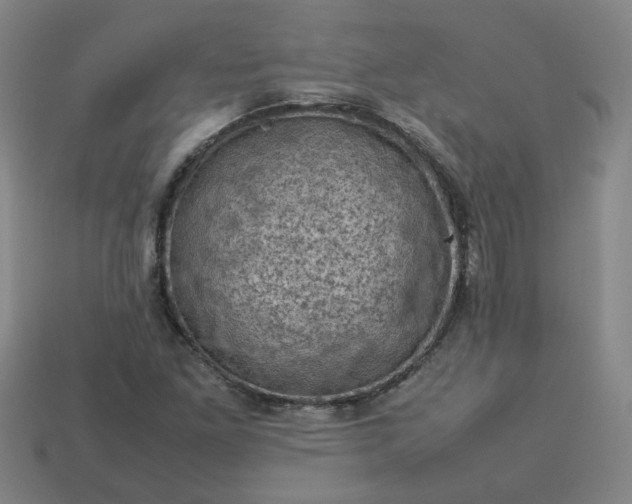 X0000114091261200910191555
