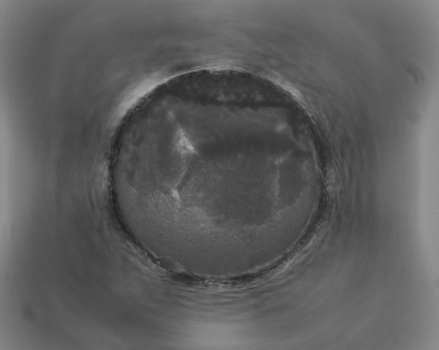 X0000114091263200910191555