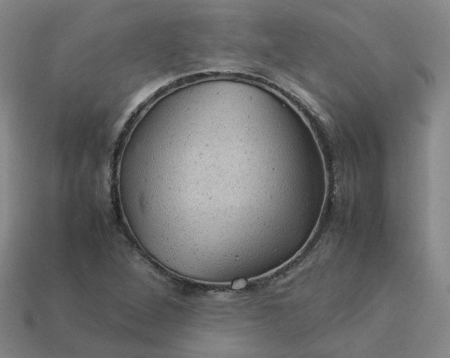 X0000114091264200910191555