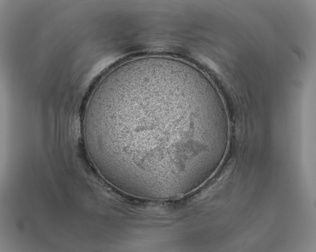 X0000114091267200910191555
