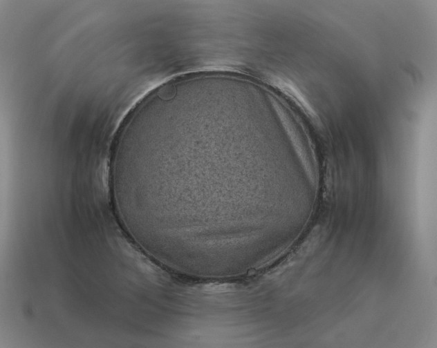X0000114091268200910191555