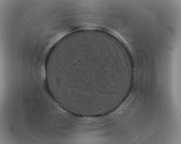 X0000114091269200910191555